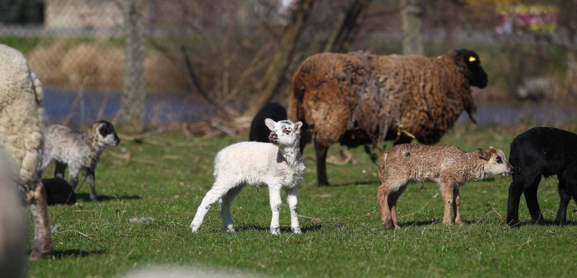Bauernhof-Eversdorf - Willkommen in der Altmark
